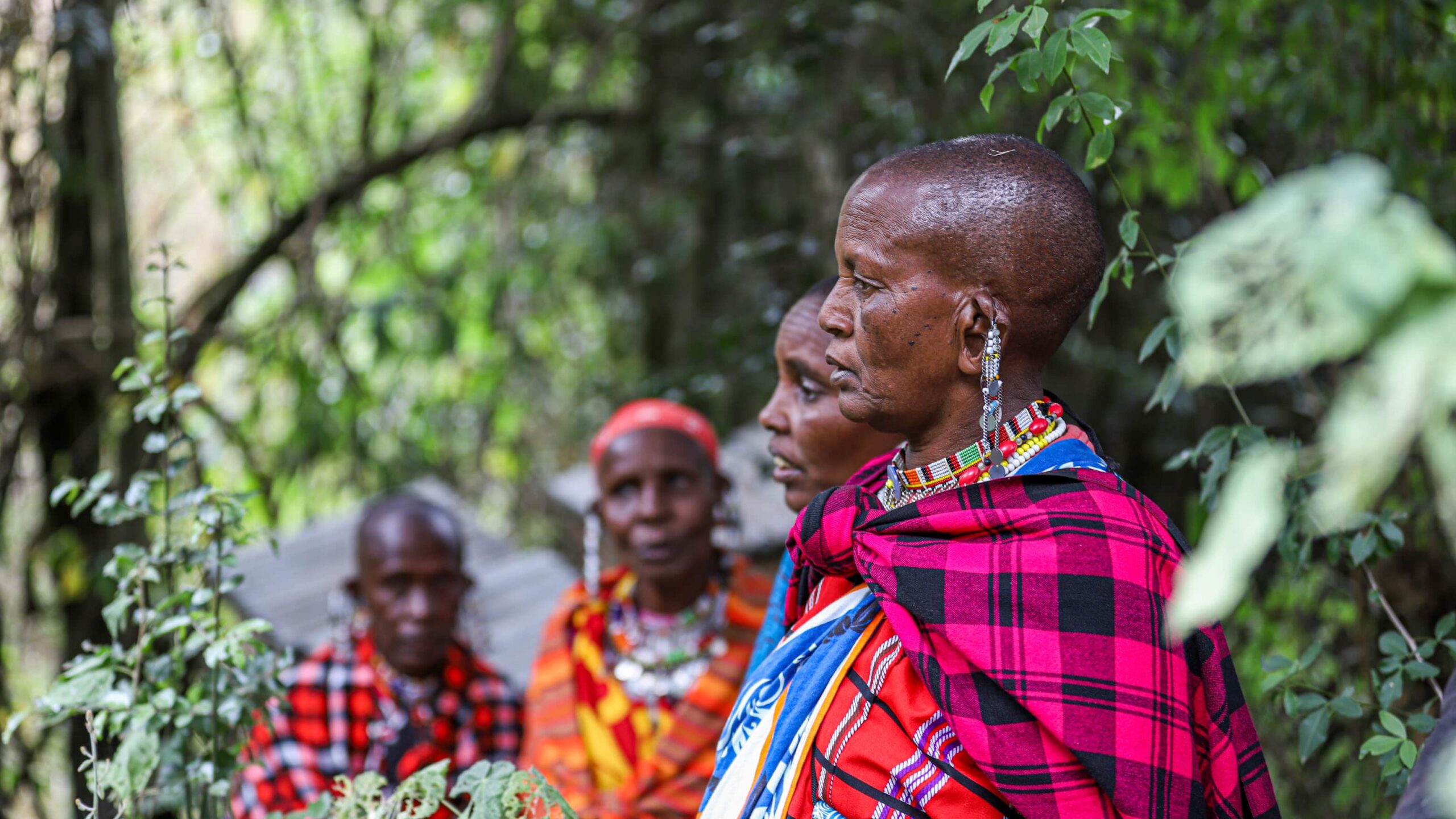 Women of the Beehive Project