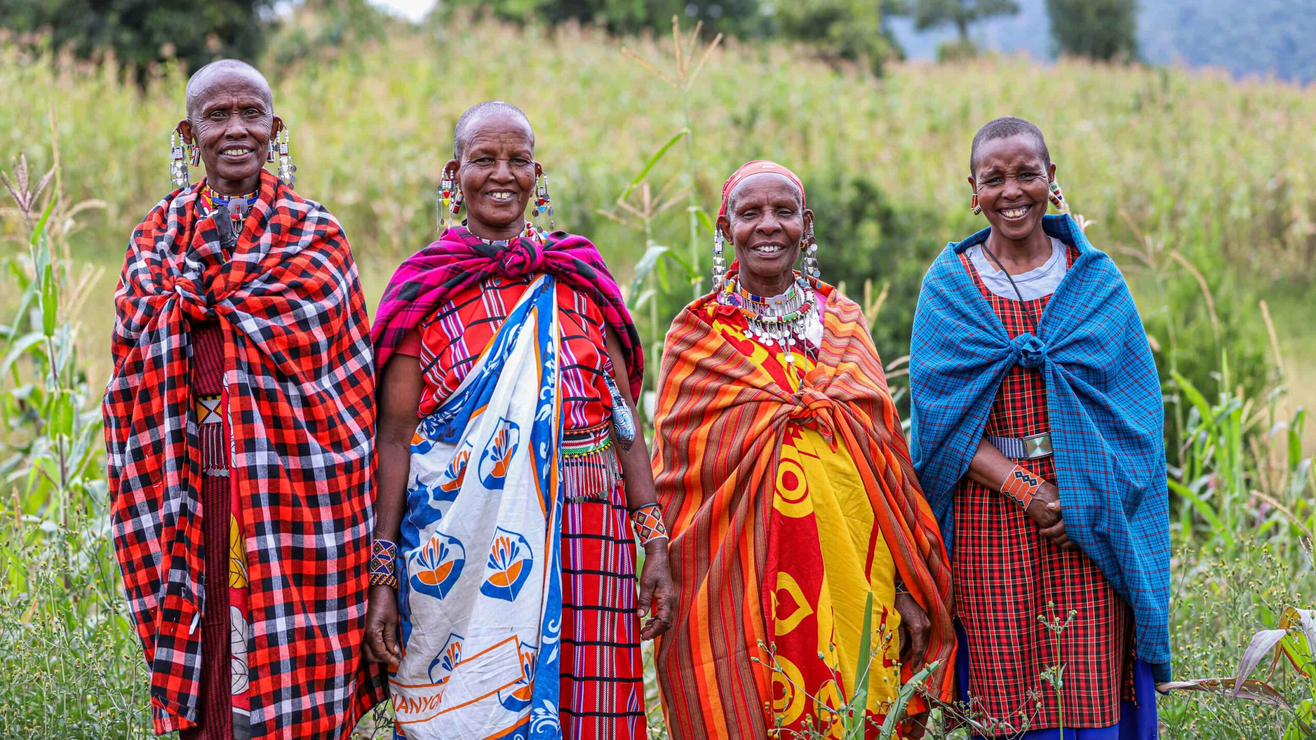 Four women of the Beehive Project