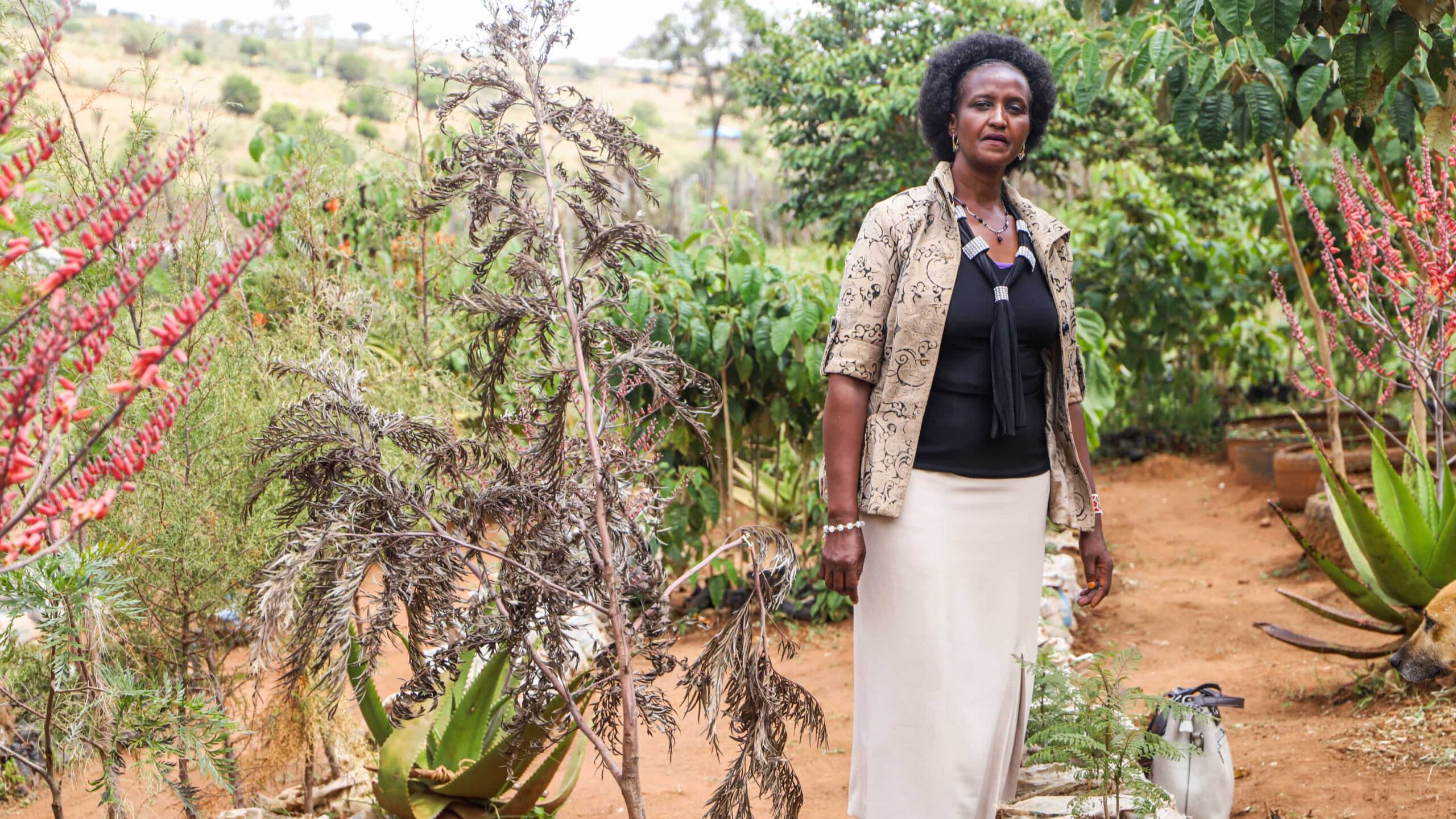 Lillian Letiwa the founder of Ngari Green Nusery/tree project. Ngari green is a link project to show the effects of climate change and adoption mechanisms. 