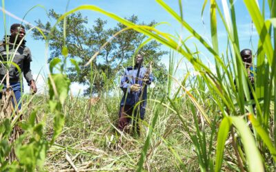 Transforming into Change Agents: How Ndhiwa’s Cane cutters are Inspiring Hope