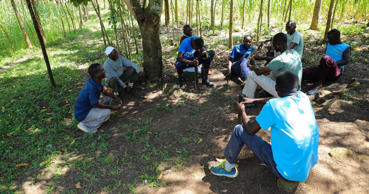 group of sugar cane cutters outside